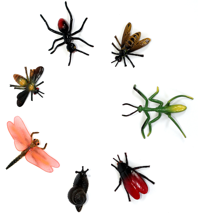 Guide des insectes nuisibles et autre parasites